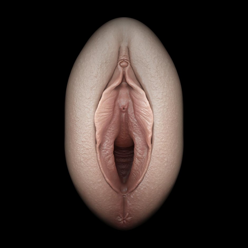 Вагина женская