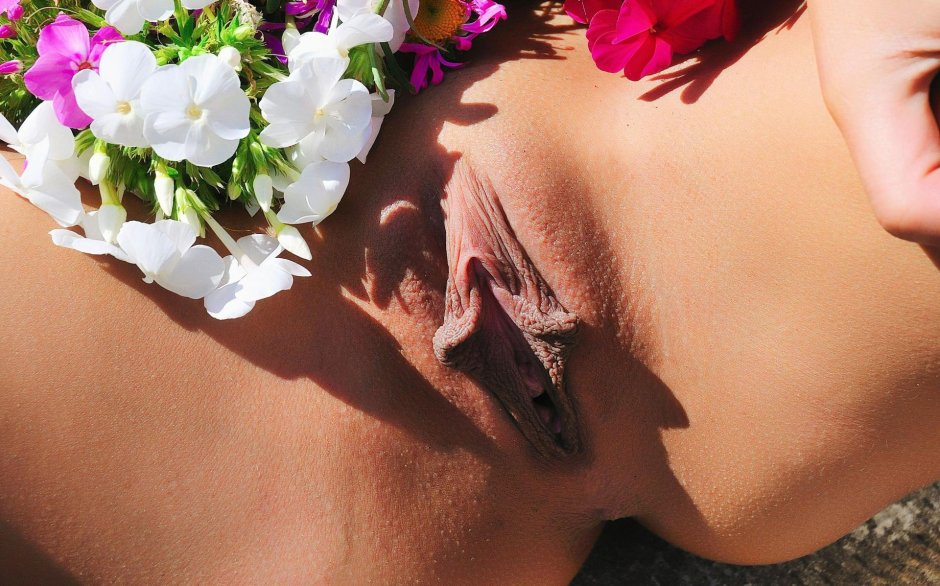 Катарантус розовый