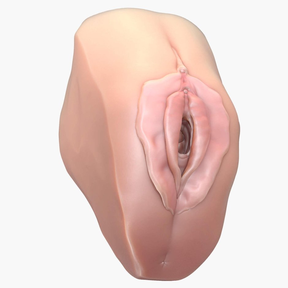 Документальное вагина