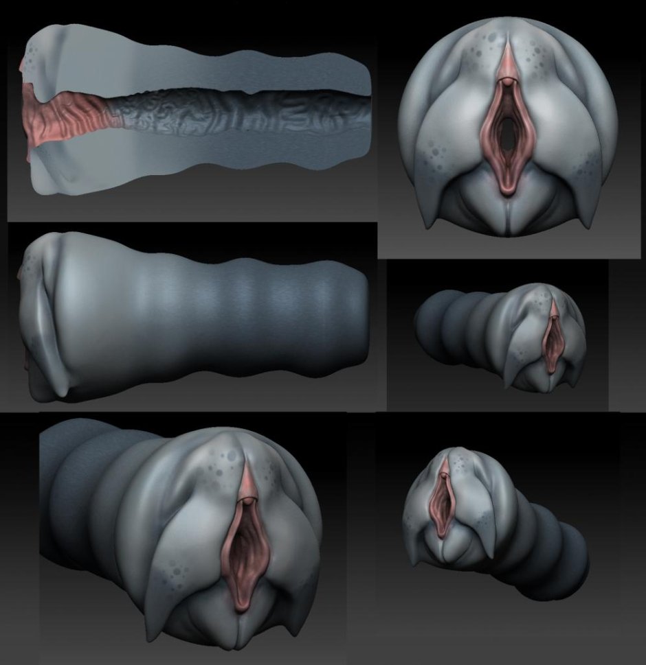 Вагина фурри