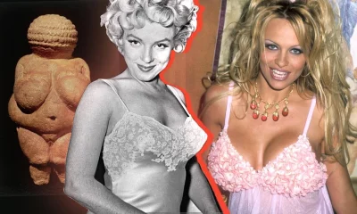 Эволюция женской груди