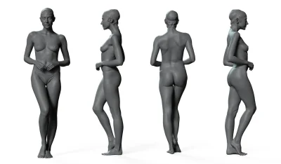 Female anatomy