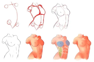 Рисование женской груди