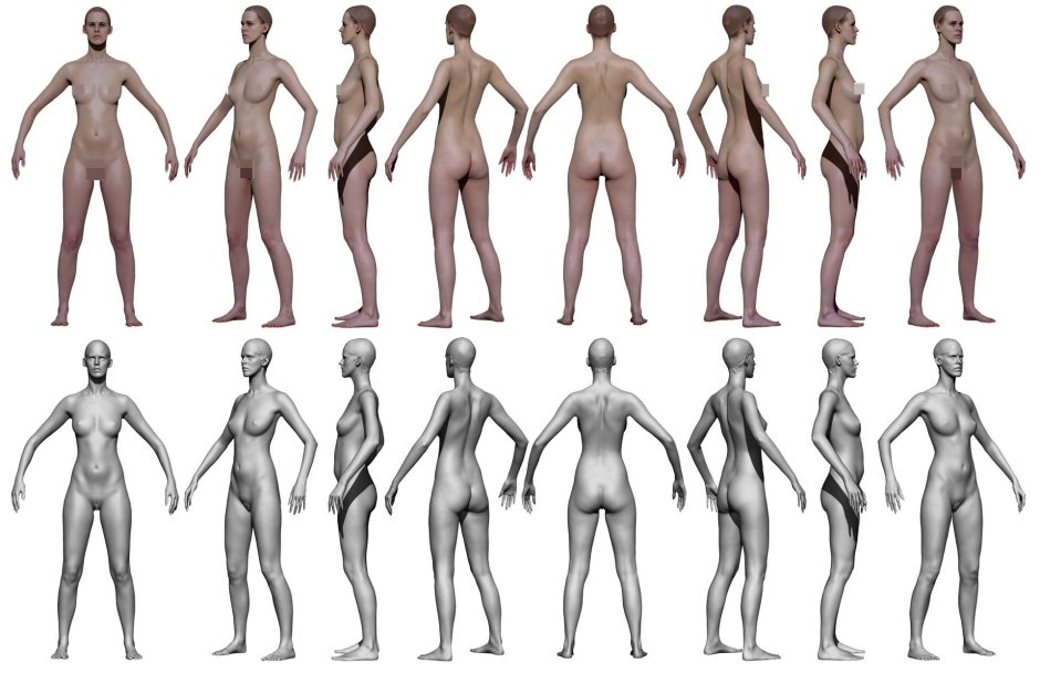 Тело референс