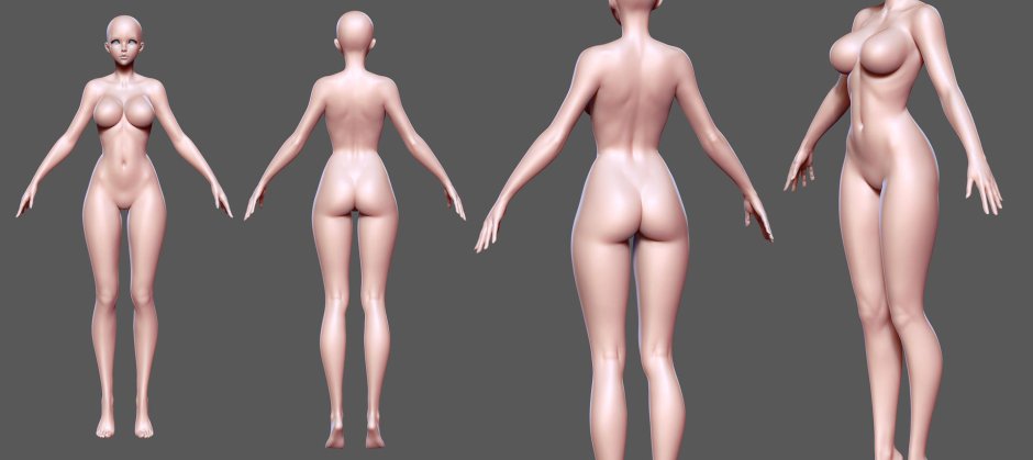 Голое женское тело анатомия