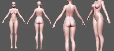 Голое женское тело анатомия