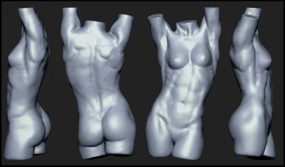 Моделирование женского тела
