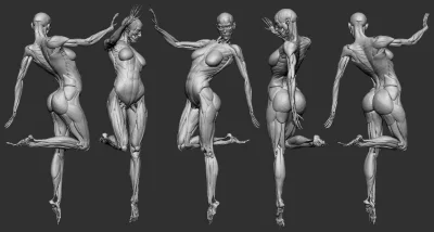 Модель человека збраш анатомия