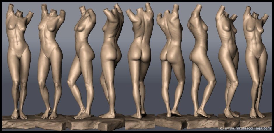 Модель женского тела