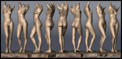 Модель женского тела