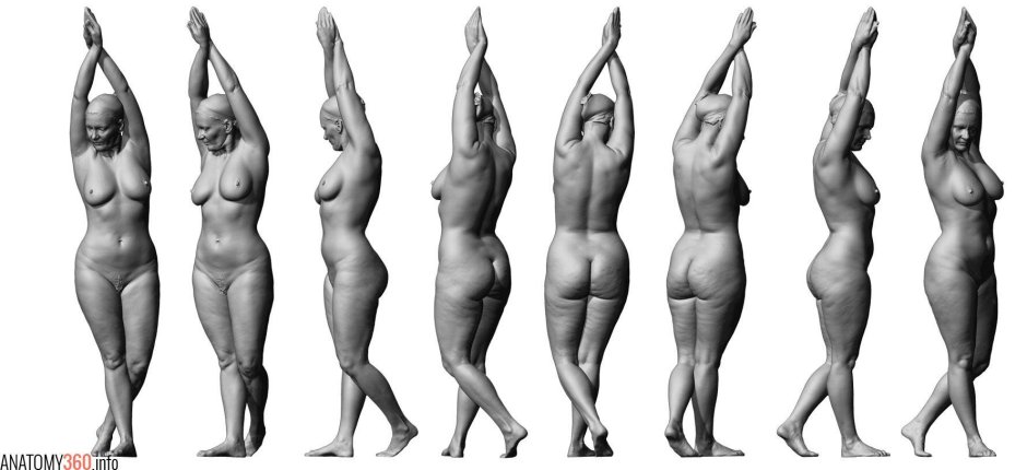 Разные фигуры голых женщин