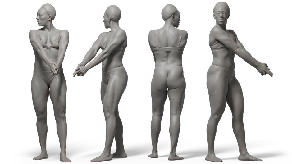 Женское тело референсы