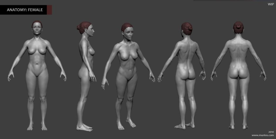 Эротические модели для zbrush