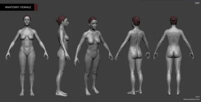 Эротические модели для zbrush