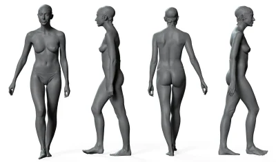 Голое женское тело референс