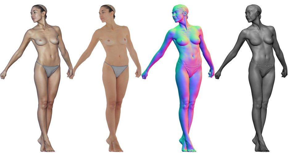 Female body anatomy