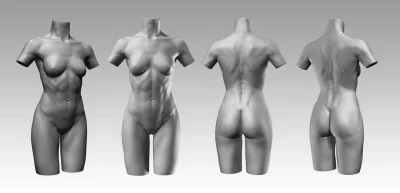 Женское тело анатомия