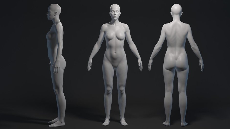 Female body d model