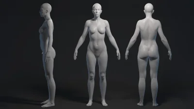 Female body d model