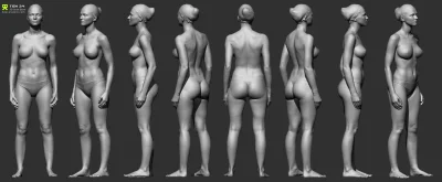 Женское тело с разных сторон