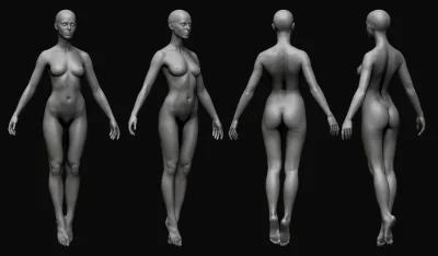 Женское тело анатомия