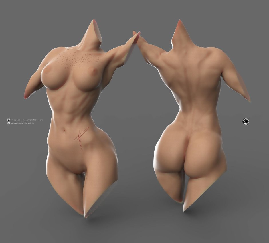 Женский торс референс