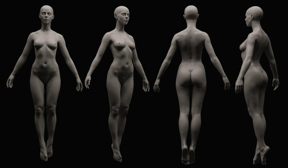 Референс женского тела