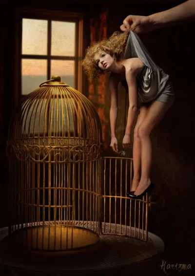 Птица в золотой клетке