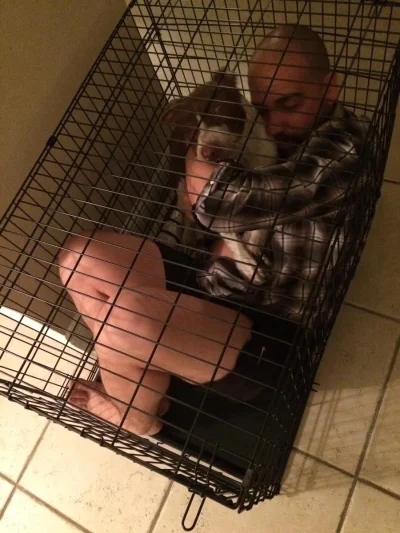 Собака в клетке