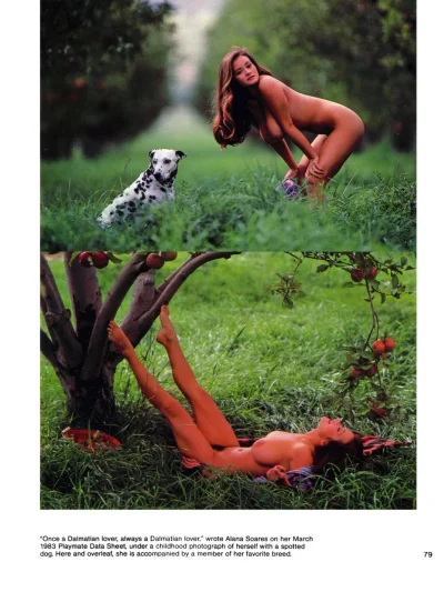 Далматин порода собак