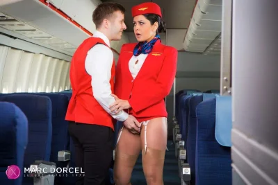 Марк дорсель стюардессы