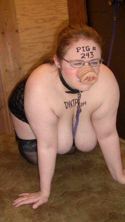 Свинья морда