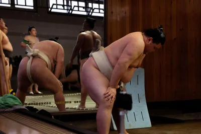 Сумо япония