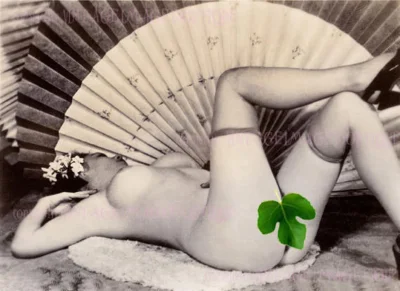 Веер китайский