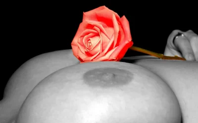 Фотосессия голой с розой