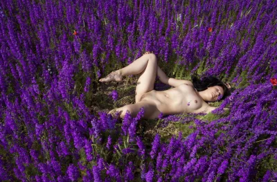 Лавандовое поле фотосессия