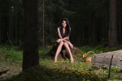 Красивые голые женщины в лесу