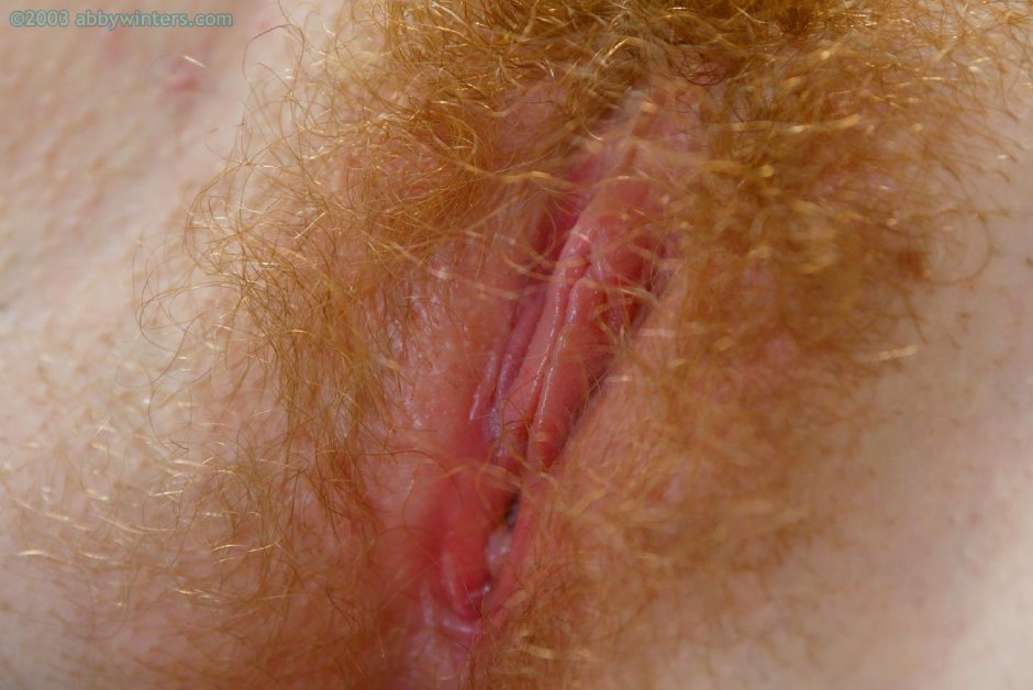 Рыжие лобковые волосы