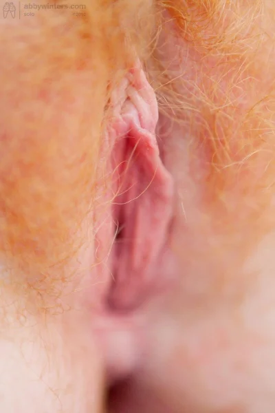 Рыжая шерсть