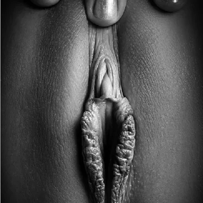 Рисунки вагины