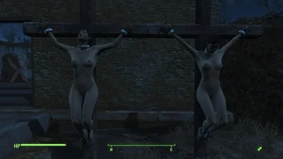 Голые персонажи фоллаут