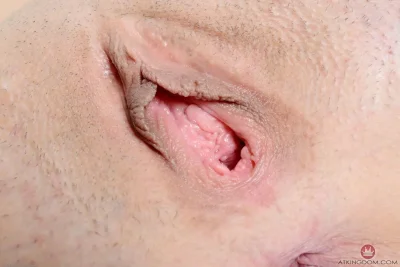 Раскрытые половые губки