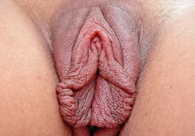 Большие половые губы порно