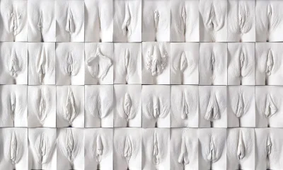 Слепки вагин джейми маккартни