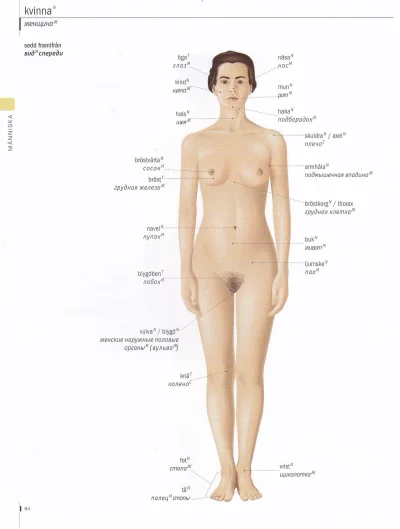 Части тела женщины