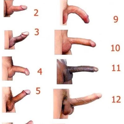 Виды мужских членов