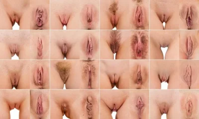 Формы женских влагалищ