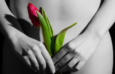 Девушка с тюльпанами