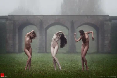 Художественная эротика