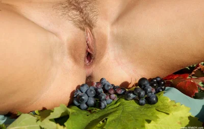 Виноград картина